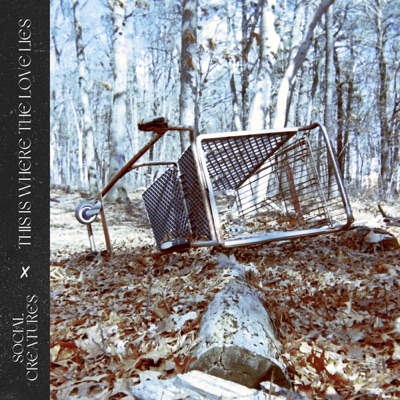 Woodland cover artwork with a shopping cart resting among fallen leaves
